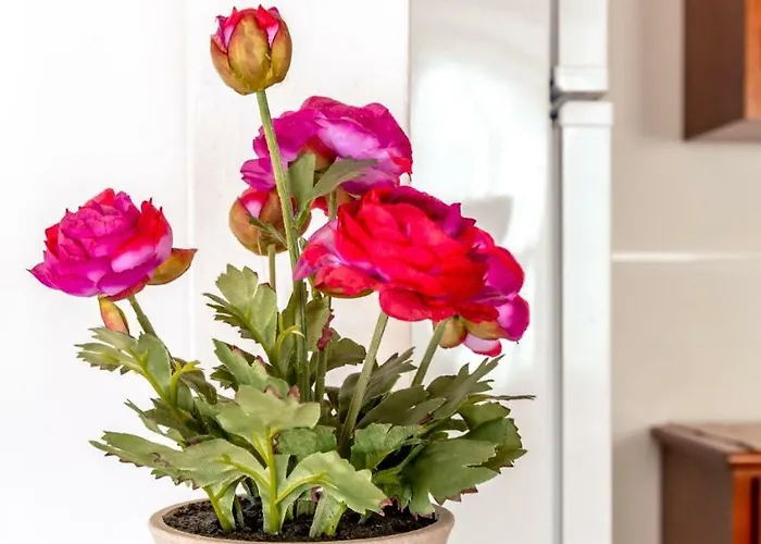 Nyaraló Casa Do Tio Jose Doze Ribeiras